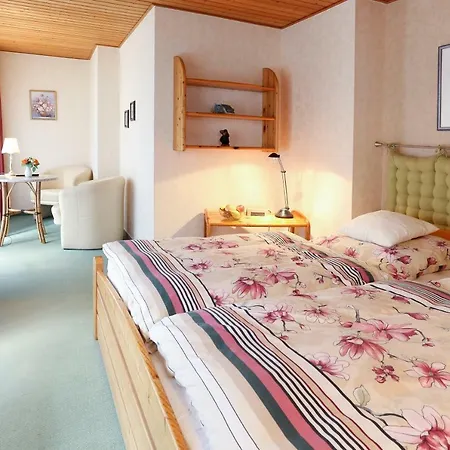 Haus Am Scholben Gæstehus Bad Lauterberg